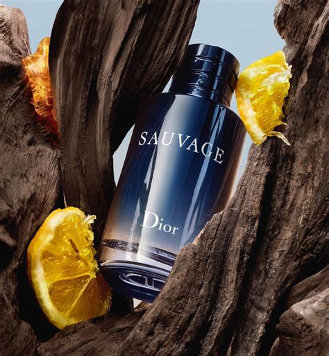 pharmaprix eau de toilette dior sauvage|DIOR Sauvage Eau de Toilette .